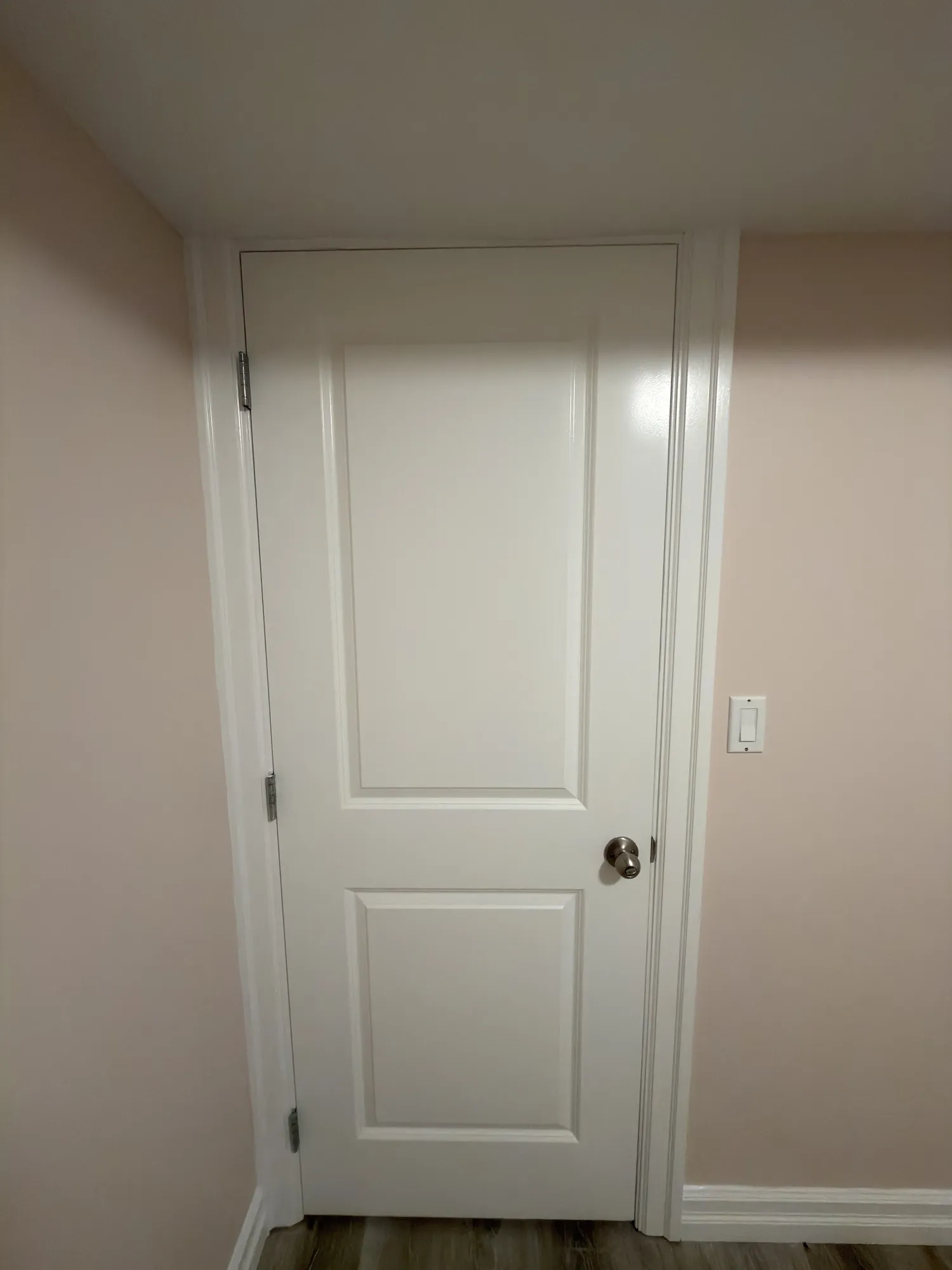 High quality painted door finish