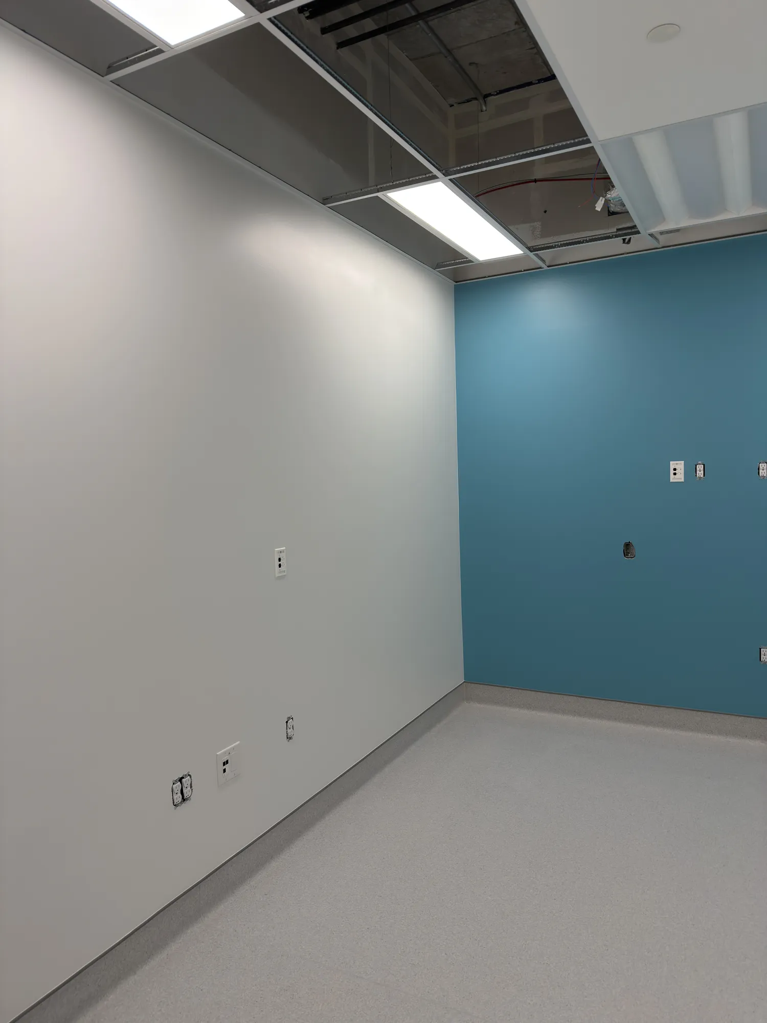 Professional-grade commercial paint job with zero visible flaws